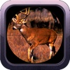 Deer Hunter Gold: Sniper Hunting 2