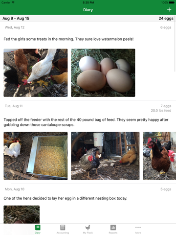 Screenshot #4 pour FlockPlenty - Chicken Egg Tracker