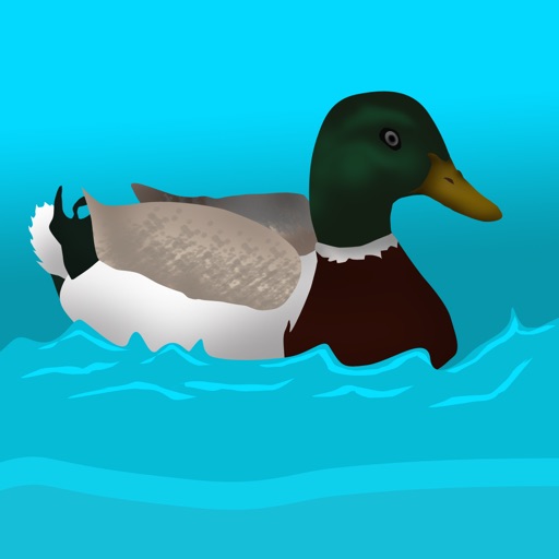 Tiny Plastic Duck Racing : Summer Water Race to Win - Free Edition iOS App