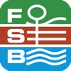 FSB 2013