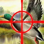 A Cool Adventure Hunter The Duck Shoot-ing Game by Animal-s Hunt-ing & Fish-ing Games For Adult-s Teen-s & Boy-s Free App Problems