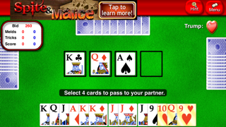 Pinochle Lite screenshot 2