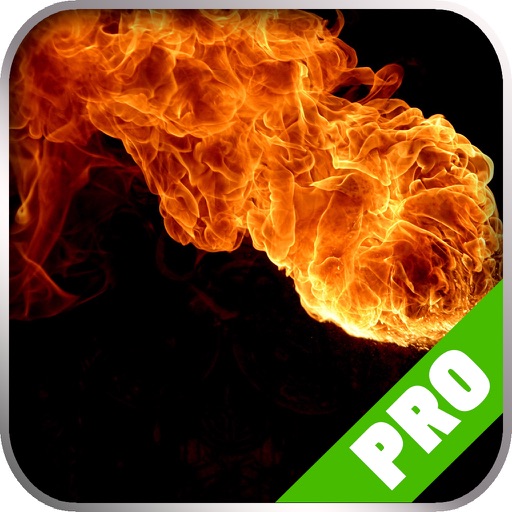 Game Pro - Torchlight 2 Version iOS App