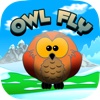 Owl Fly 2014