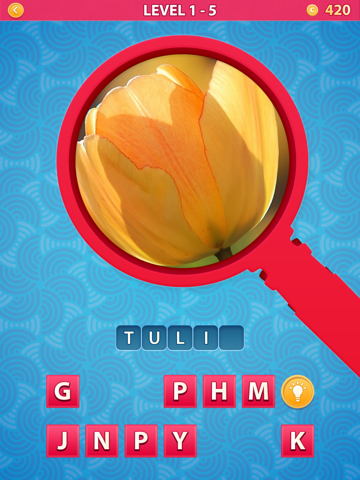 Zoom Pics - close up zoomed images and guess words trivia quiz game iPad screenshot