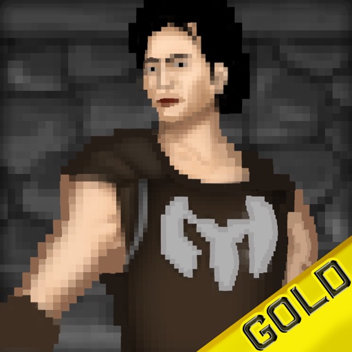 Pixel Warriors - The 8 bits epic heroes quest - Gold Edition