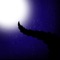 When light itself is near extinction, the creatures of the night come to take its place