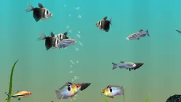 Game screenshot MyLake 3D Aquarium hack