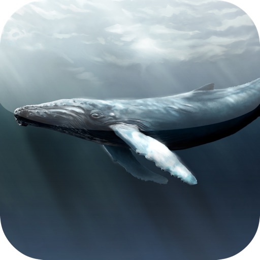 Guess for Aquatic Species at Risk Quiz Game Icon