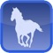 Horse Medical Agenda is now a universal application optimized to run on iPhone, iPod and iPad devices
