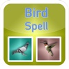 Puzzle + Bird Spell Puzzle