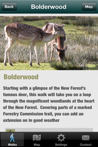 New Forest Walks screenshot 3