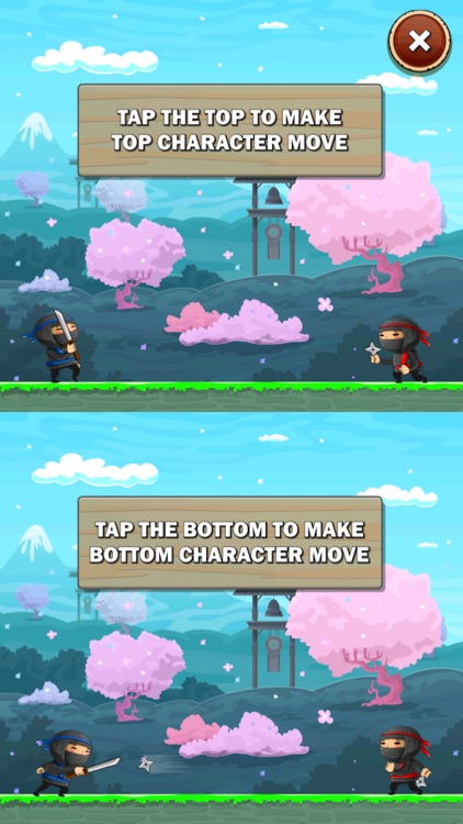 Ninja Fight Training