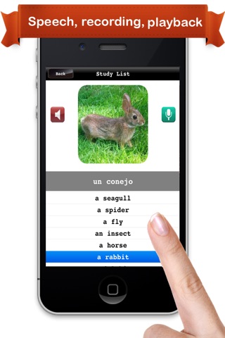 Learn Spanish ™ screenshot 4