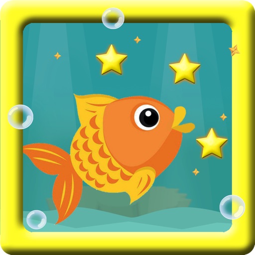 Goldfish dive adventures