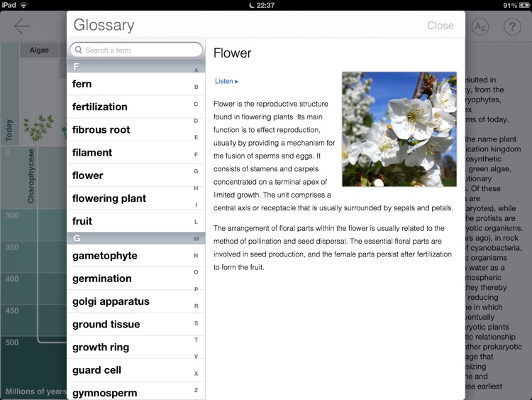 Focus on Plant screenshot-3