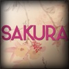 Sakura.