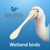 Wetland Birds Field Guide icon