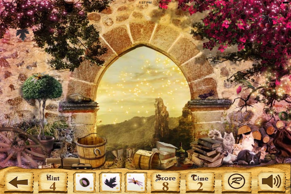 Hidden Objects?? screenshot 2