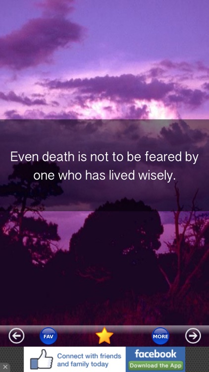 Buddha Quotes - Daily Buddhist Meditation & Words of Wisdom