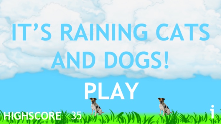It's Raining Cats and Dogs
