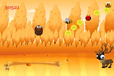 Hedgehog Bouncing Party In The Gold Wild Forest - Free Edition screenshot 3