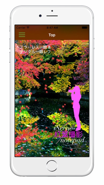 紅葉撮影 notepad Lite