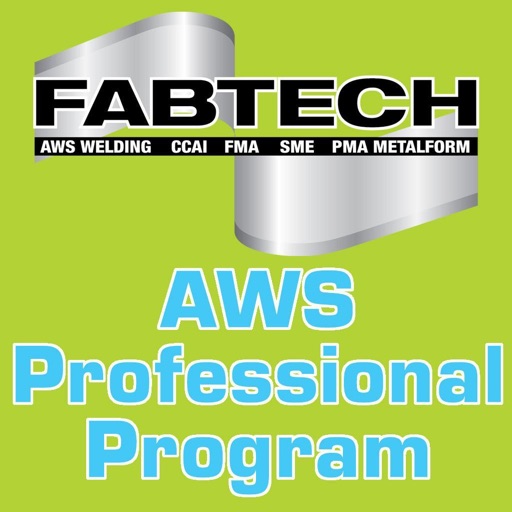 AWS Professional Program