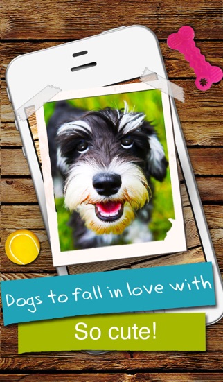 dogs - everything for dog lovers! iphone screenshot 4