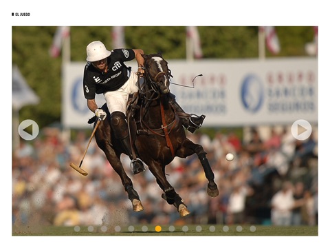 Argentina POLO screenshot 2