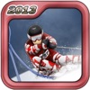 滑雪&滑雪板 2013 (Ski & SnowBoard)