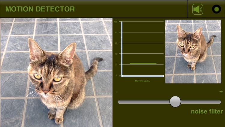 Motion Detector S