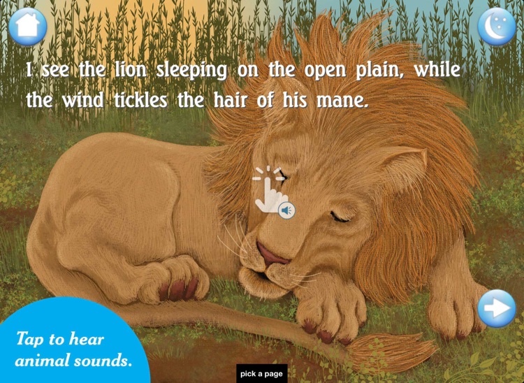 I See the Animals Sleeping: A Bedtime Story