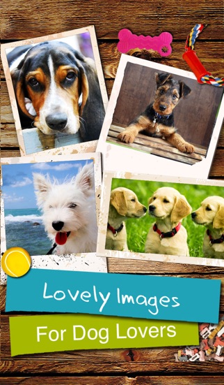 dogs - everything for dog lovers! problems & solutions and troubleshooting guide - 4