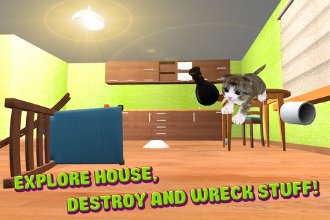 House Cat Survival Simulator 3D screenshot 4