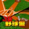 Baseball Pinball