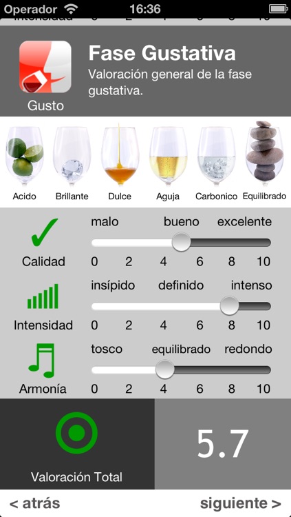 Wine Taste Experience screenshot-4
