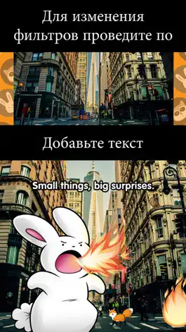 Game screenshot Глупая лиса: украсьте свои фото стикерами с изображениями лисы и ее друзей-животных! бесплатно hack