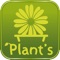 A Plant's Life - Grow Plants and Share with Friends