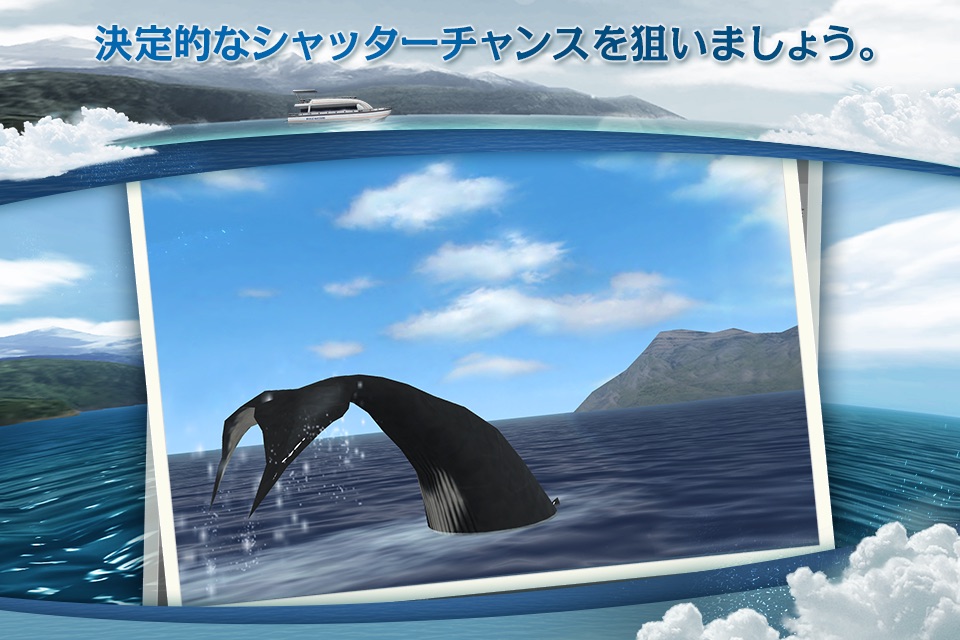 REAL WHALES  Find the cetacean. screenshot 3