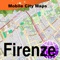 Firenze (Florence) Street Map.