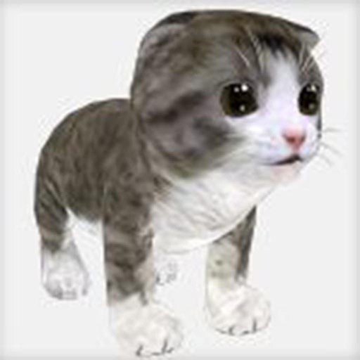 Talking friend. Kitten 3d iOS App