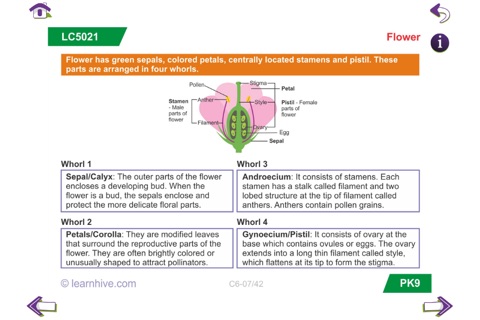 Science Grade6 screenshot 3