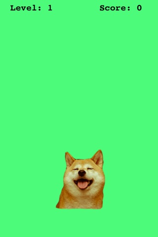 doge game screenshot 2