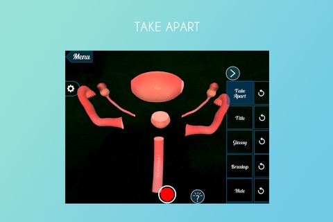 VR Female Reproductive System screenshot 2