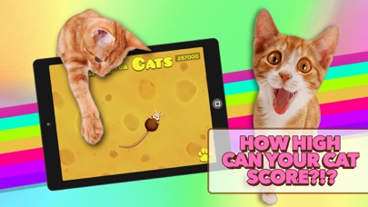 How to cancel & delete Game for Cats from iphone & ipad 4