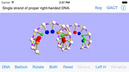 Game screenshot OnScreen DNA Model for iPhone hack