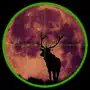 A Best Deer Hunting Reload & Animal Shoot-ing Sniper Game by Range Target-ed Fun Free