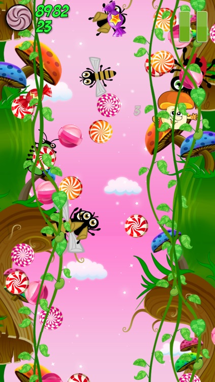 Fantasy Mushroom Cute Candy Mania - Hot Free Game for Young Kid-s