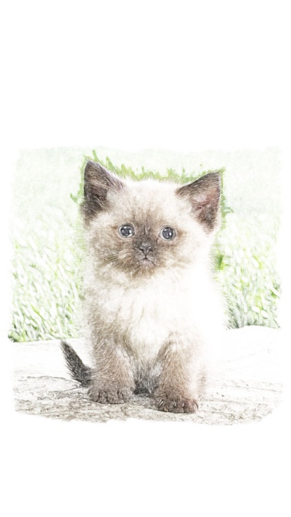 Lockscreen Wallpapers : Painted Animals